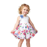 Orange and Orchid Baby Girls Cotton Frock